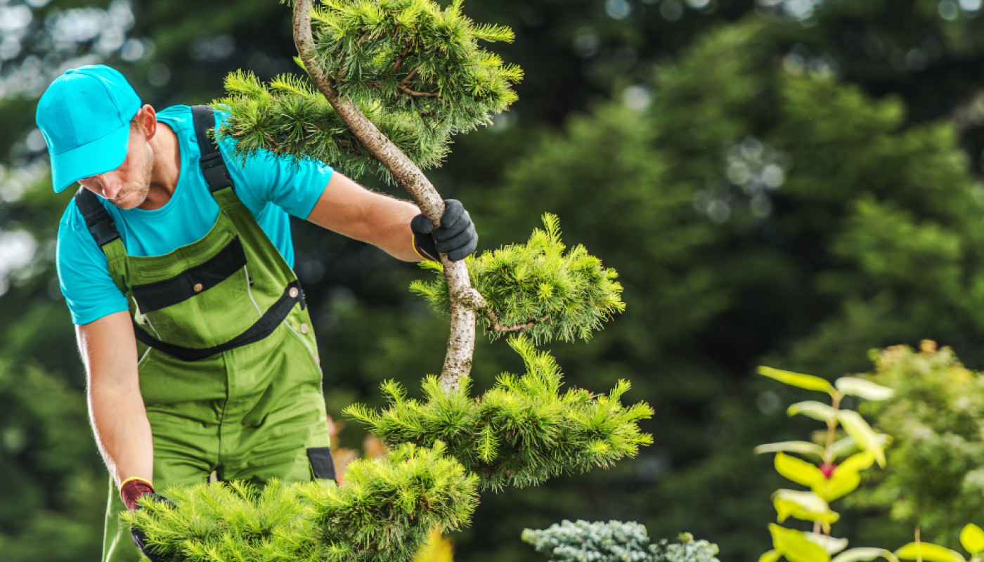 Atelier du Jardin : une approche créative du paysage dans les Hauts-de-Seine